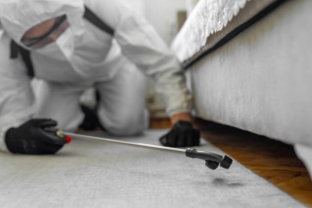 Professional Bed Bug Control technician working in Haskell, OK