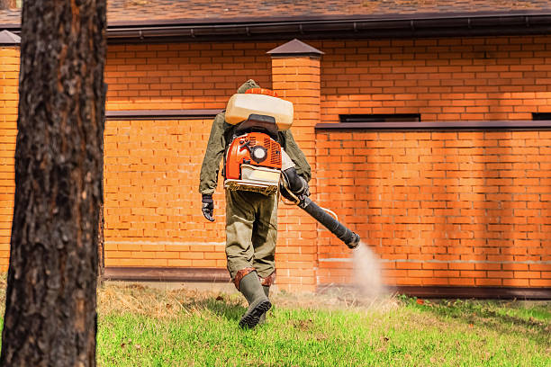 Top rated local Bed Bug Control specialists in Haskell, OK